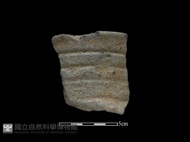 Accession Number:NSKII-2017-532 Collection Image, Figure 1, Total 2 Figures