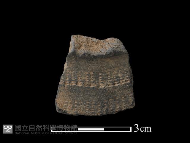 陶片藏品圖，第1張