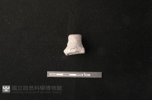 陶蓋鈕藏品圖，第2張