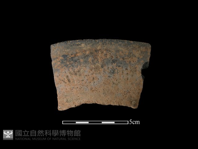 陶缽藏品圖，第1張