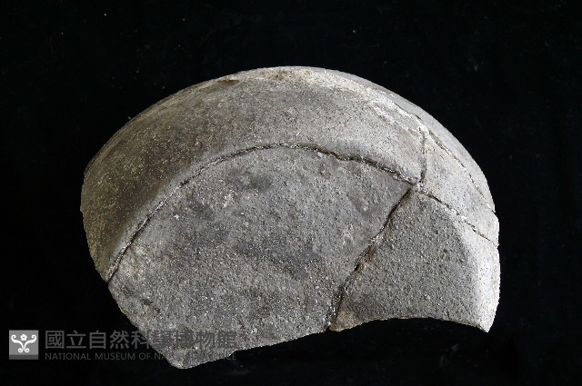 陶罐藏品圖，第6張