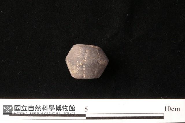 紡輪藏品圖，第5張