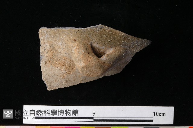 陶罐藏品圖，第5張