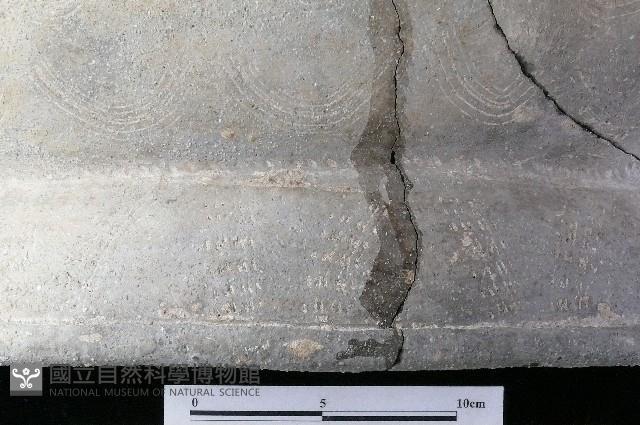 陶罐藏品圖，第5張