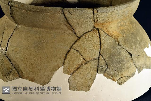 陶罐藏品圖，第15張