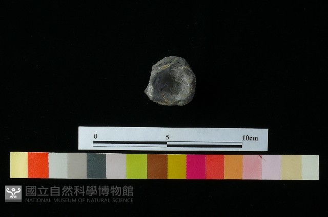 陶蓋藏品圖，第1張