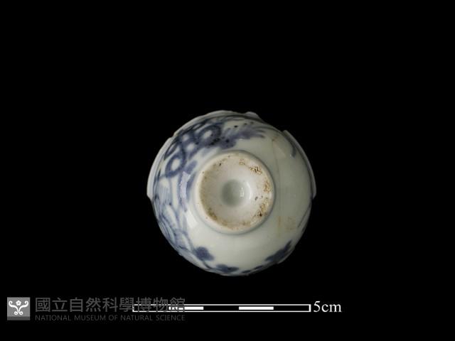 瓷杯藏品圖，第4張