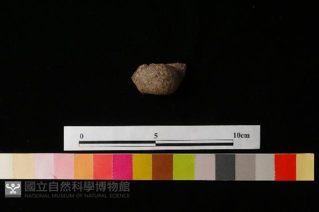 陶鈕藏品圖，第4張