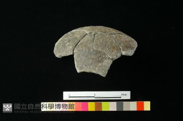 陶罐藏品圖，第4張