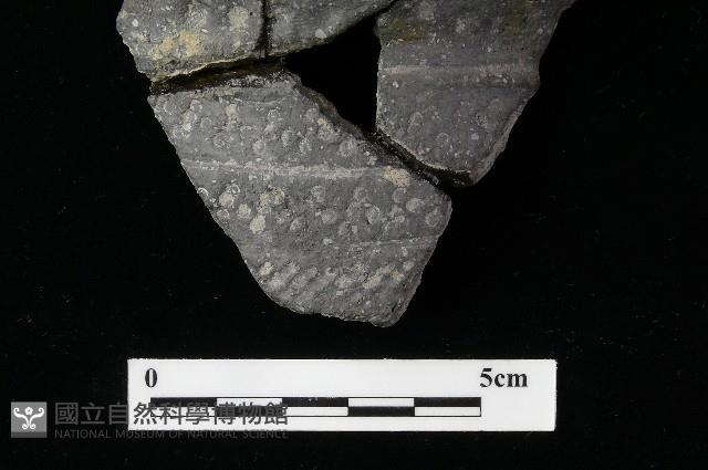 陶罐藏品圖，第4張