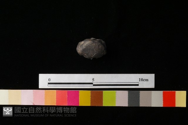 陶蓋藏品圖，第4張