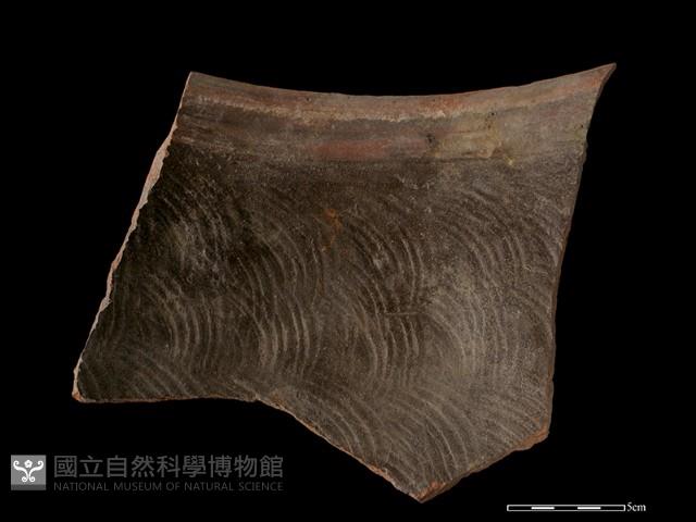 陶缸藏品圖，第1張