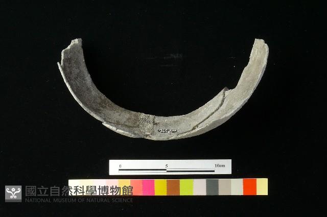 陶罐藏品圖，第4張