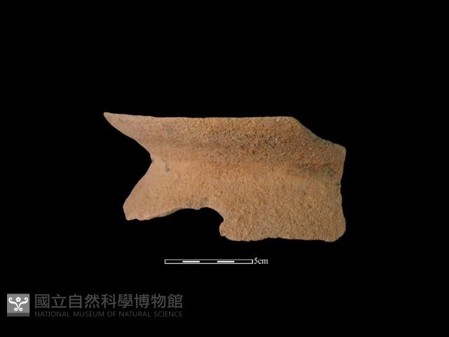 陶罐藏品圖，第4張