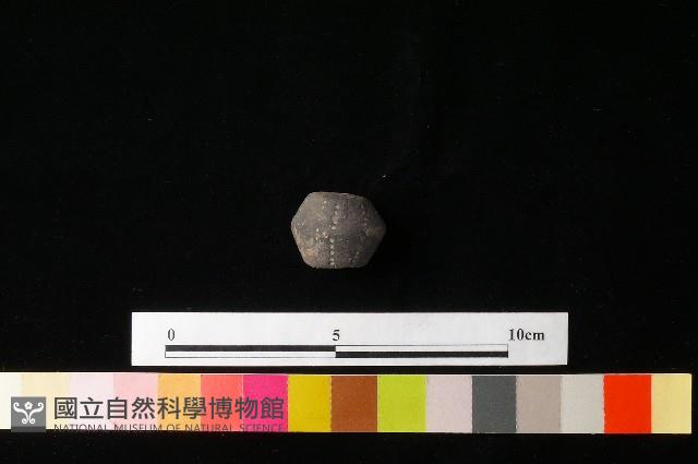 紡輪藏品圖，第4張