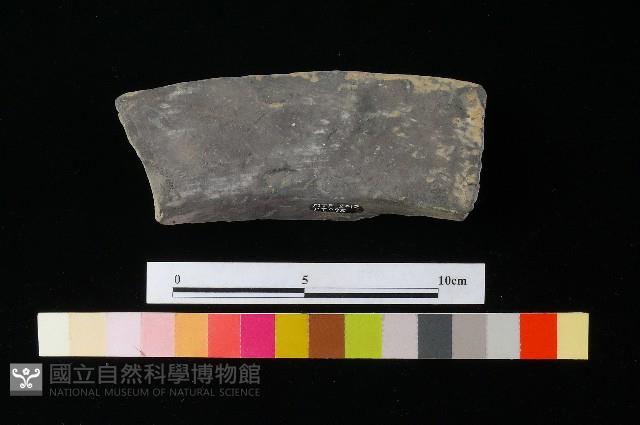 陶罐藏品圖，第4張