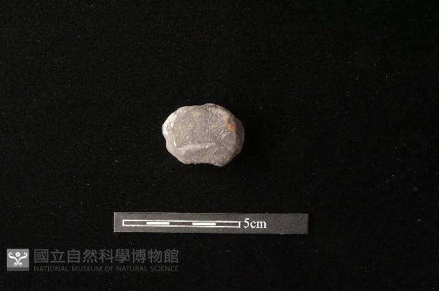 陶蓋鈕藏品圖，第4張