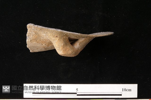 陶罐藏品圖，第4張
