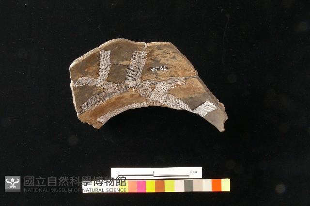 陶罐藏品圖，第4張