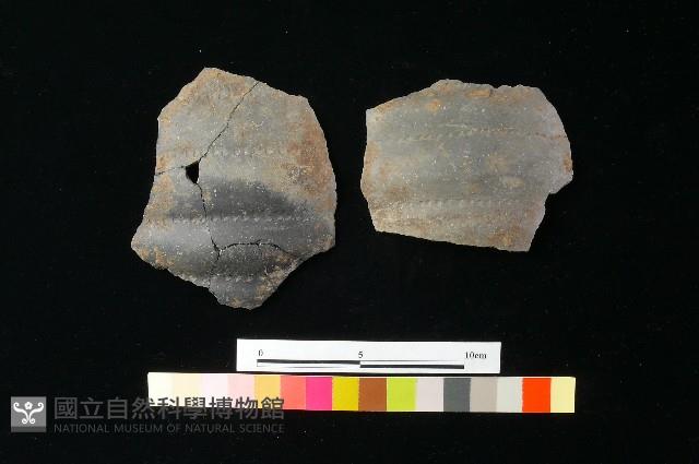 陶片藏品圖，第4張