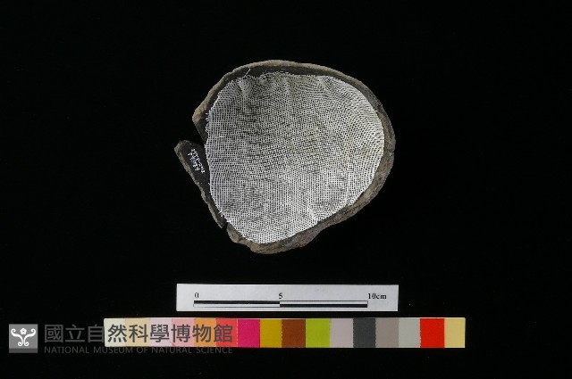 陶缽藏品圖，第4張