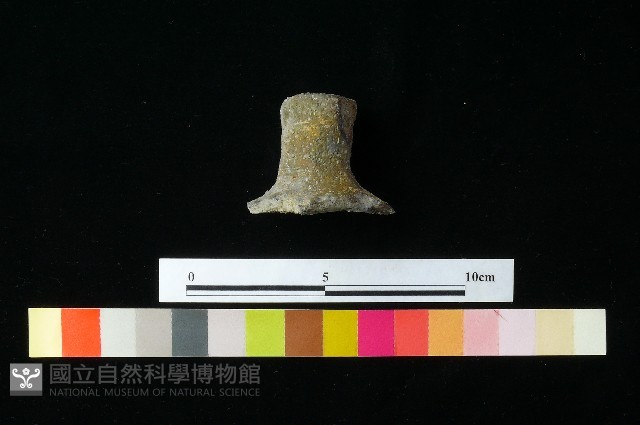 陶蓋藏品圖，第4張