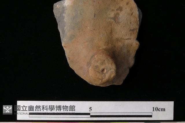 陶蓋藏品圖，第4張