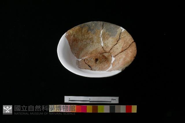 陶蓋藏品圖，第5張