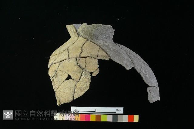 陶罐藏品圖，第5張