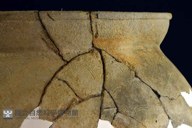 陶罐藏品圖，第14張