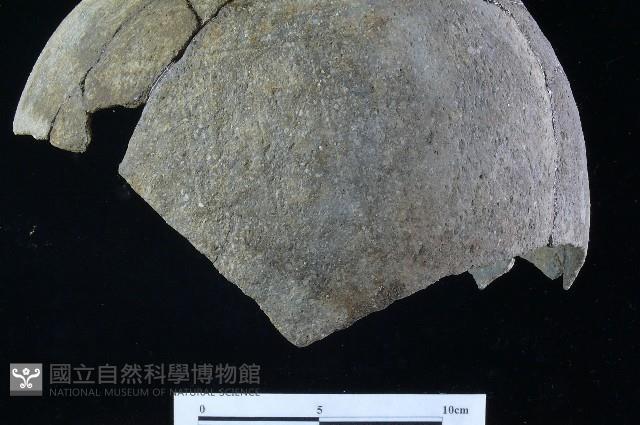 陶罐藏品圖，第9張