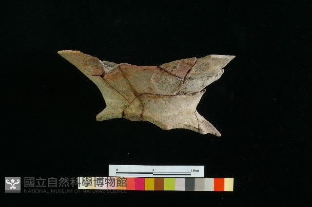 豆形器藏品圖，第1張