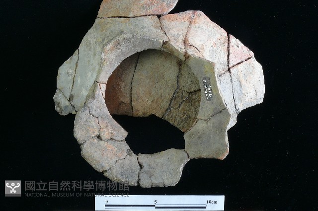 豆形器藏品圖，第9張