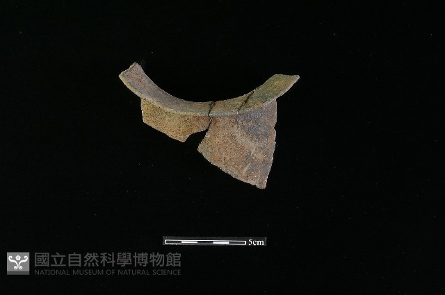 陶罐藏品圖，第3張