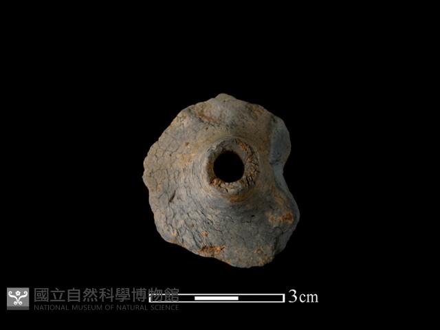 陶紡輪藏品圖，第3張