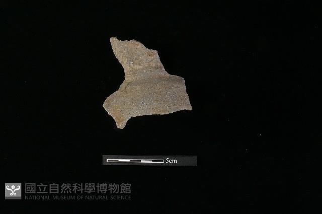 陶罐藏品圖，第3張