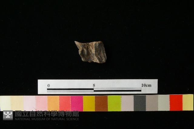 陶鈕藏品圖，第1張