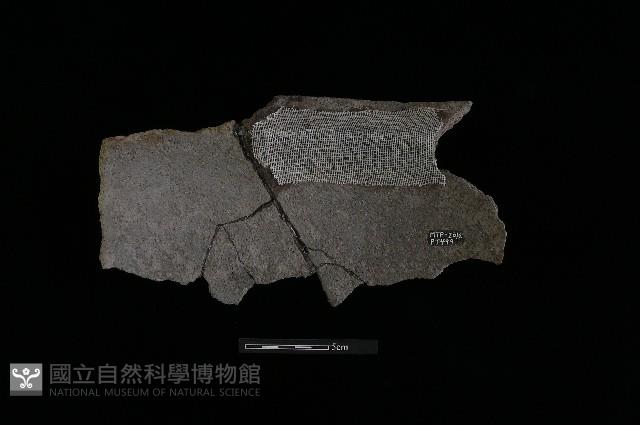 陶缸藏品圖，第1張