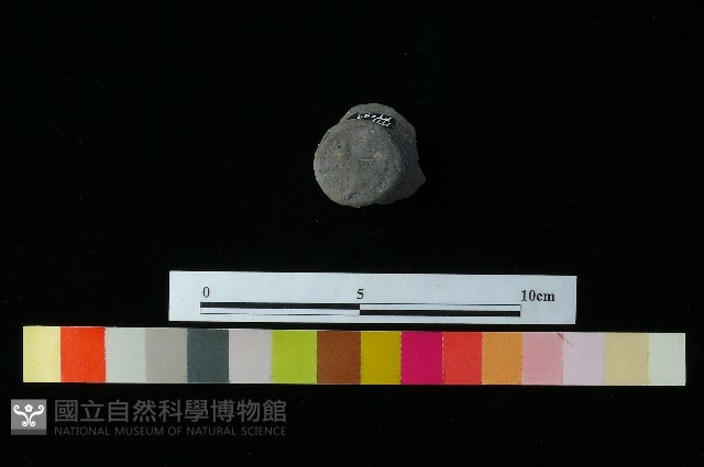 陶蓋藏品圖，第4張
