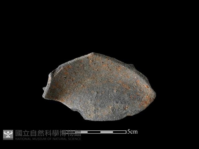 陶片藏品圖，第1張