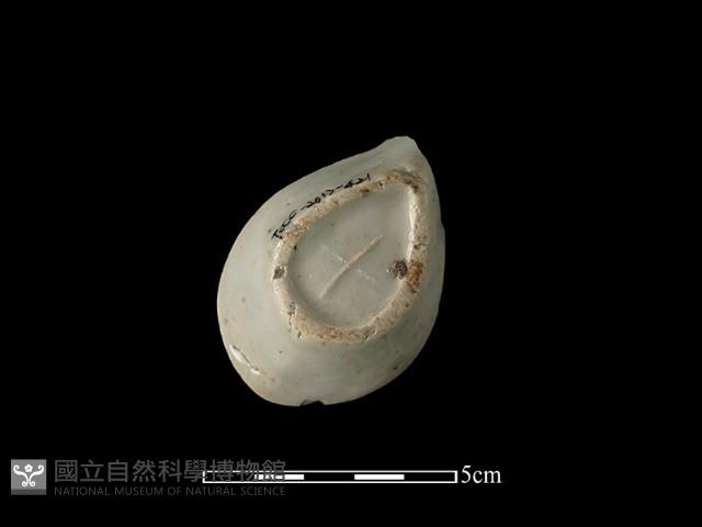 湯匙藏品圖，第3張