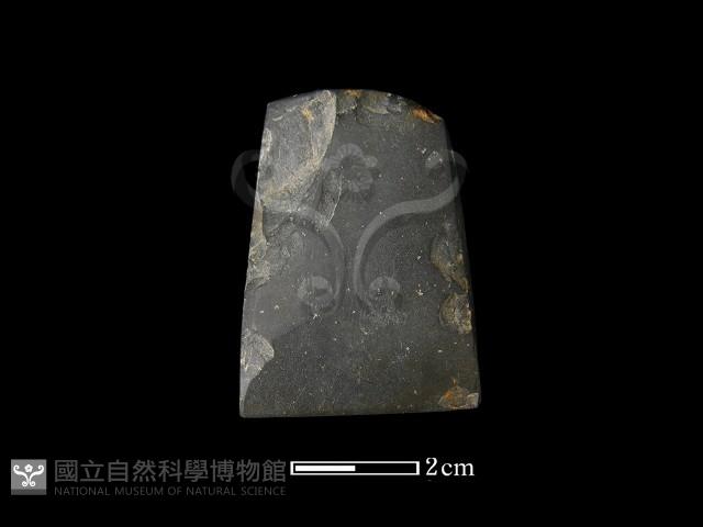 錛鑿形器藏品圖，第3張