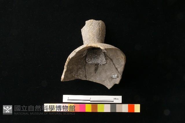 陶瓶藏品圖，第3張