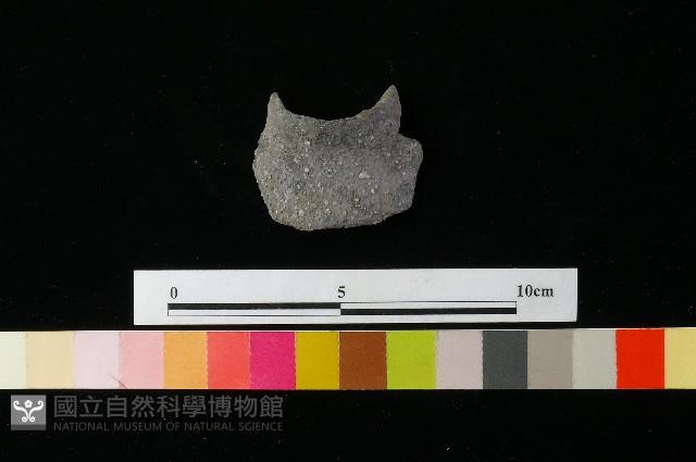 陶瓢藏品圖，第3張