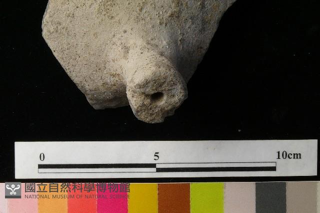 Accession Number:MTP-2012-PT131 Collection Image, Figure 3, Total 3 Figures