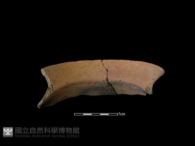 陶罐藏品圖，第1張