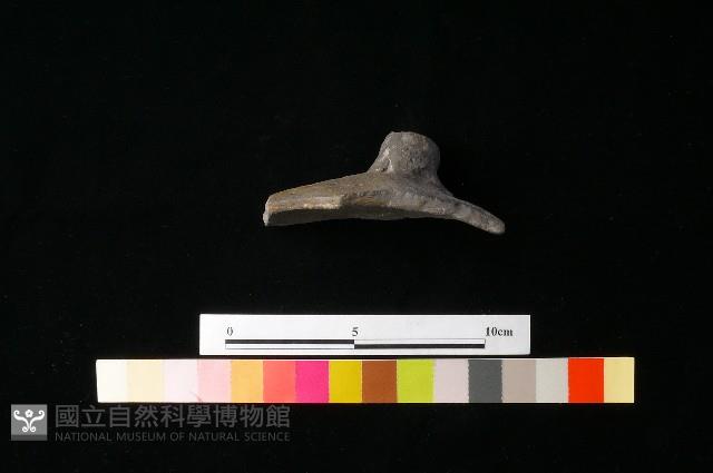 陶蓋藏品圖，第3張