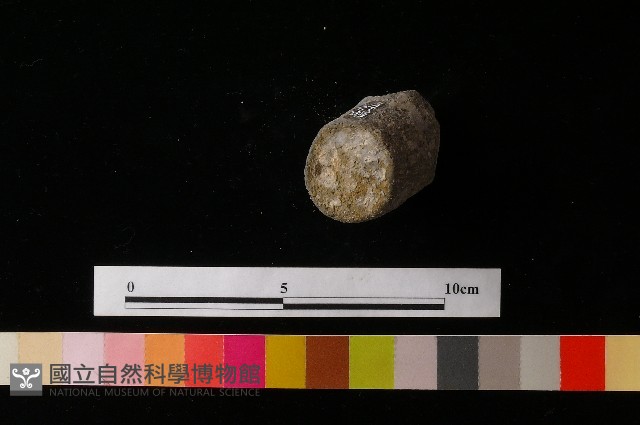 獸足藏品圖，第4張