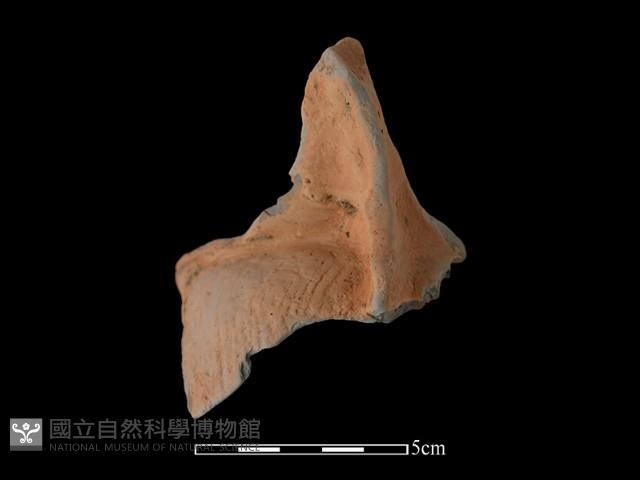 連杯形器藏品圖，第3張