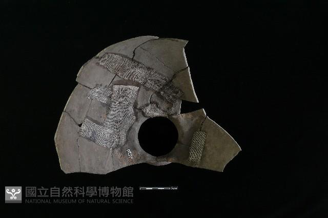 陶罐藏品圖，第1張